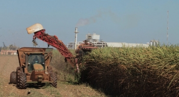 Goiás deve colher safra recorde de cana-de-açúcar em 2025
